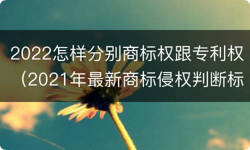 2022怎样分别商标权跟专利权（2021年最新商标侵权判断标准）