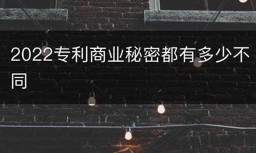 2022专利商业秘密都有多少不同