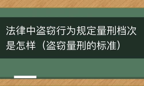 法律中盗窃行为规定量刑档次是怎样（盗窃量刑的标准）
