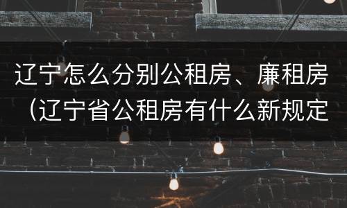 辽宁怎么分别公租房、廉租房（辽宁省公租房有什么新规定）