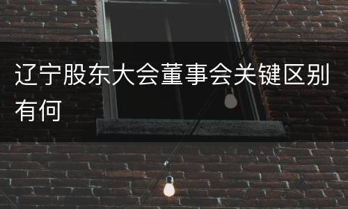 辽宁股东大会董事会关键区别有何