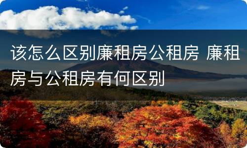 该怎么区别廉租房公租房 廉租房与公租房有何区别