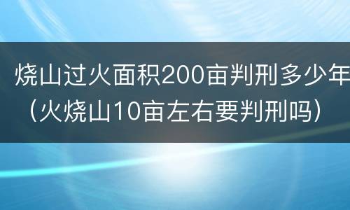 烧山过火面积200亩判刑多少年（火烧山10亩左右要判刑吗）