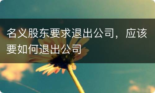 名义股东要求退出公司，应该要如何退出公司