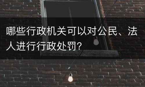哪些行政机关可以对公民、法人进行行政处罚？
