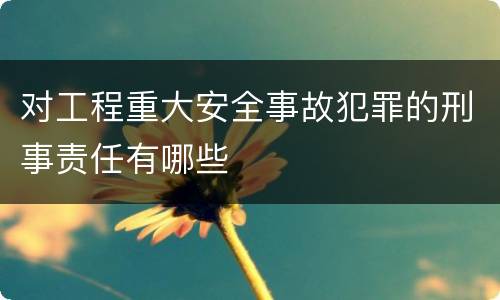 对工程重大安全事故犯罪的刑事责任有哪些