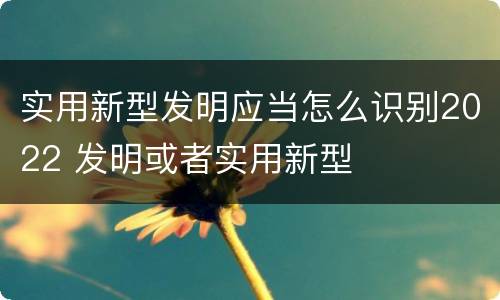 实用新型发明应当怎么识别2022 发明或者实用新型