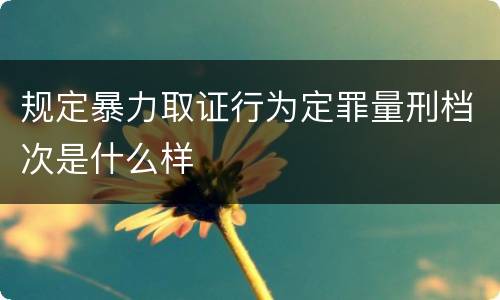 规定暴力取证行为定罪量刑档次是什么样