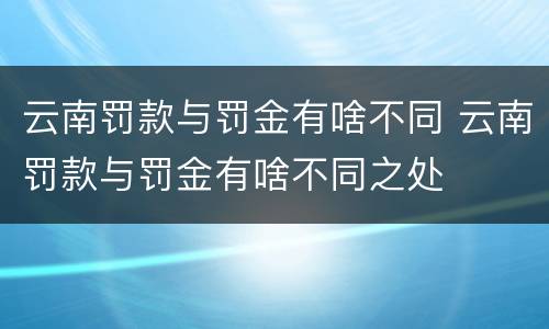 云南罚款与罚金有啥不同 云南罚款与罚金有啥不同之处