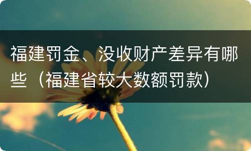福建罚金、没收财产差异有哪些（福建省较大数额罚款）