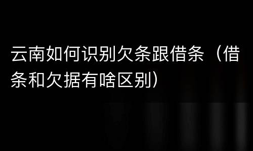 云南如何识别欠条跟借条（借条和欠据有啥区别）