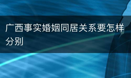 广西事实婚姻同居关系要怎样分别
