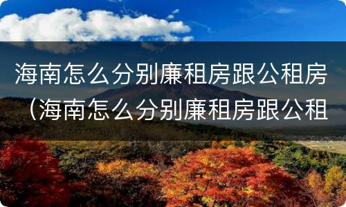 海南怎么分别廉租房跟公租房（海南怎么分别廉租房跟公租房的区别）
