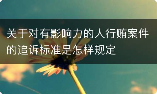 关于对有影响力的人行贿案件的追诉标准是怎样规定
