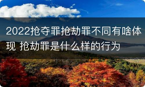2022抢夺罪抢劫罪不同有啥体现 抢劫罪是什么样的行为