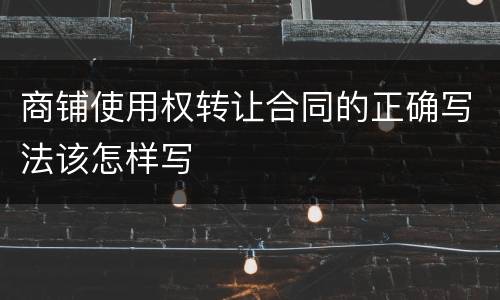 商铺使用权转让合同的正确写法该怎样写