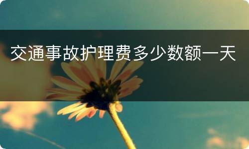 交通事故护理费多少数额一天