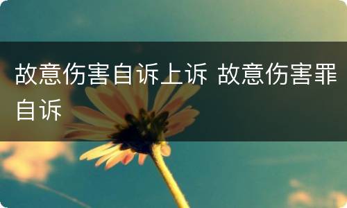 故意伤害自诉上诉 故意伤害罪自诉