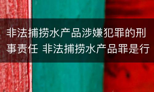 非法捕捞水产品涉嫌犯罪的刑事责任 非法捕捞水产品罪是行为犯吗