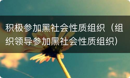 积极参加黑社会性质组织（组织领导参加黑社会性质组织）