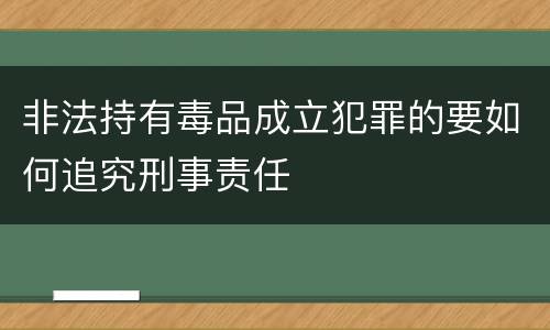 非法持有毒品成立犯罪的要如何追究刑事责任
