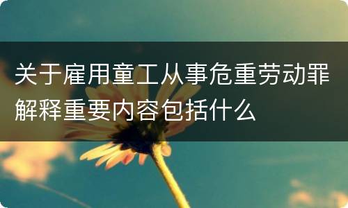关于雇用童工从事危重劳动罪解释重要内容包括什么