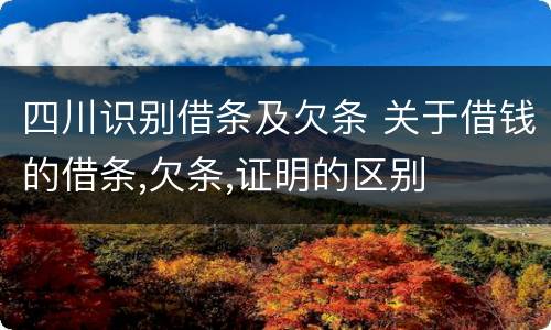 四川识别借条及欠条 关于借钱的借条,欠条,证明的区别