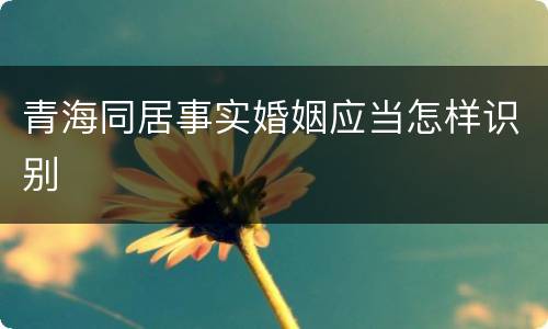 青海同居事实婚姻应当怎样识别