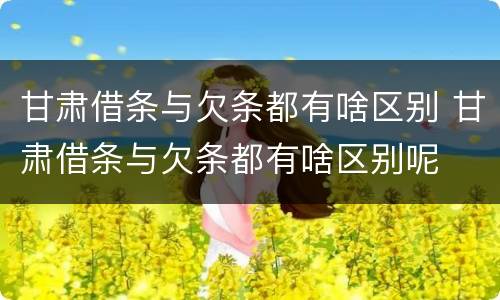 甘肃借条与欠条都有啥区别 甘肃借条与欠条都有啥区别呢