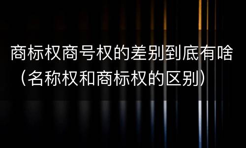 商标权商号权的差别到底有啥（名称权和商标权的区别）