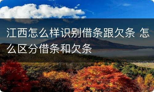 江西怎么样识别借条跟欠条 怎么区分借条和欠条