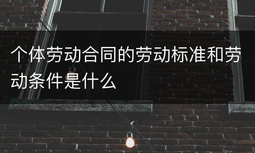 个体劳动合同的劳动标准和劳动条件是什么