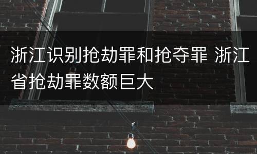 浙江识别抢劫罪和抢夺罪 浙江省抢劫罪数额巨大