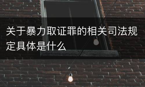 关于暴力取证罪的相关司法规定具体是什么