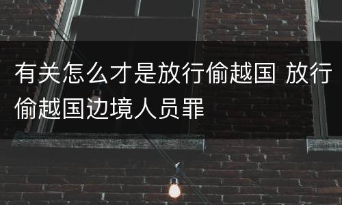 有关怎么才是放行偷越国 放行偷越国边境人员罪