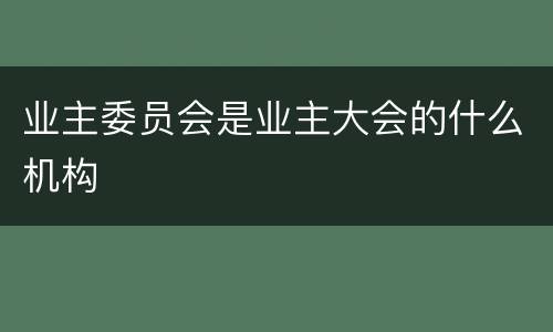 业主委员会是业主大会的什么机构