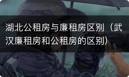 湖北公租房与廉租房区别（武汉廉租房和公租房的区别）