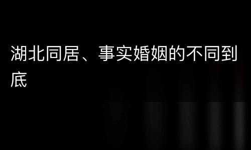 湖北同居、事实婚姻的不同到底