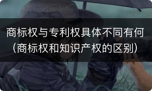 商标权与专利权具体不同有何（商标权和知识产权的区别）