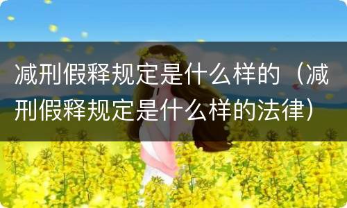 减刑假释规定是什么样的（减刑假释规定是什么样的法律）
