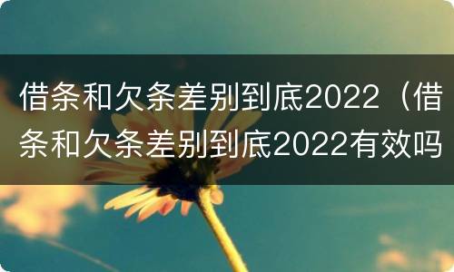 借条和欠条差别到底2022（借条和欠条差别到底2022有效吗）