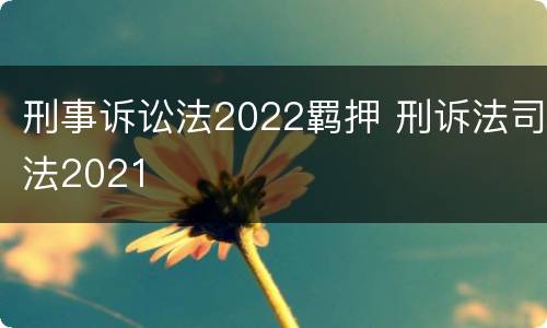 刑事诉讼法2022羁押 刑诉法司法2021