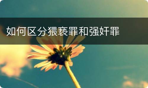 如何区分猥亵罪和强奸罪