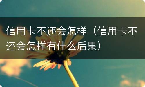 信用卡不还会怎样（信用卡不还会怎样有什么后果）