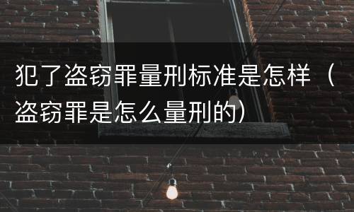犯了盗窃罪量刑标准是怎样（盗窃罪是怎么量刑的）