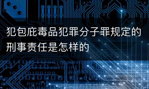 犯包庇毒品犯罪分子罪规定的刑事责任是怎样的