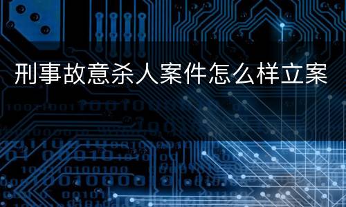 刑事故意杀人案件怎么样立案