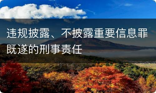 违规披露、不披露重要信息罪既遂的刑事责任