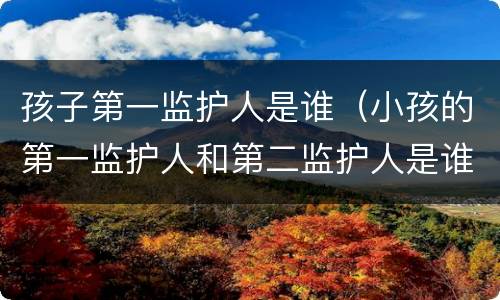 孩子第一监护人是谁（小孩的第一监护人和第二监护人是谁）