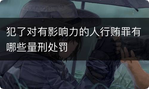 犯了对有影响力的人行贿罪有哪些量刑处罚